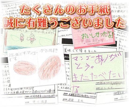 完熟マンゴー 評判